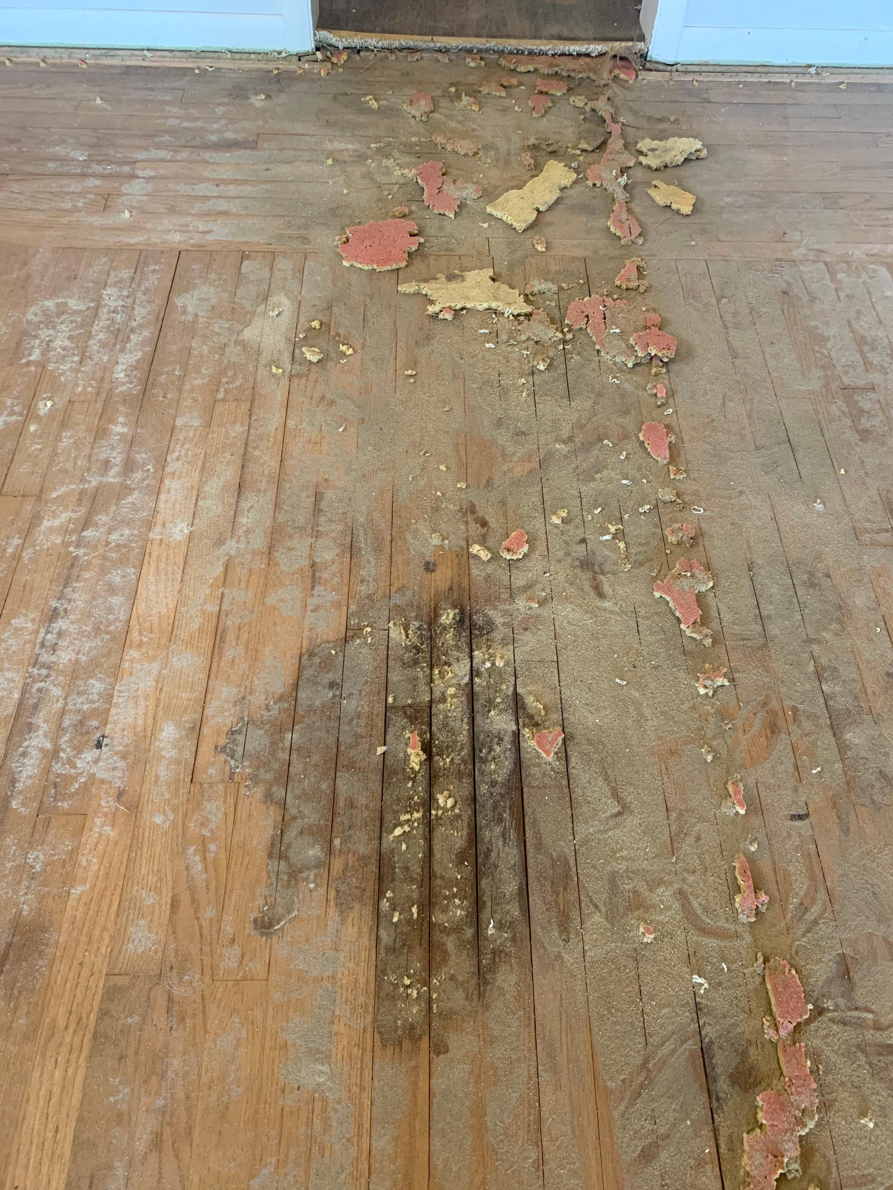 Hardwood floor before